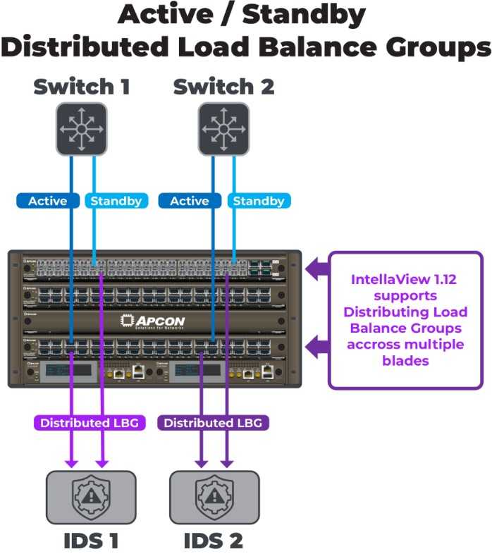 IntellaView's latest firmware/software supports Distributed Load Balance Groups.